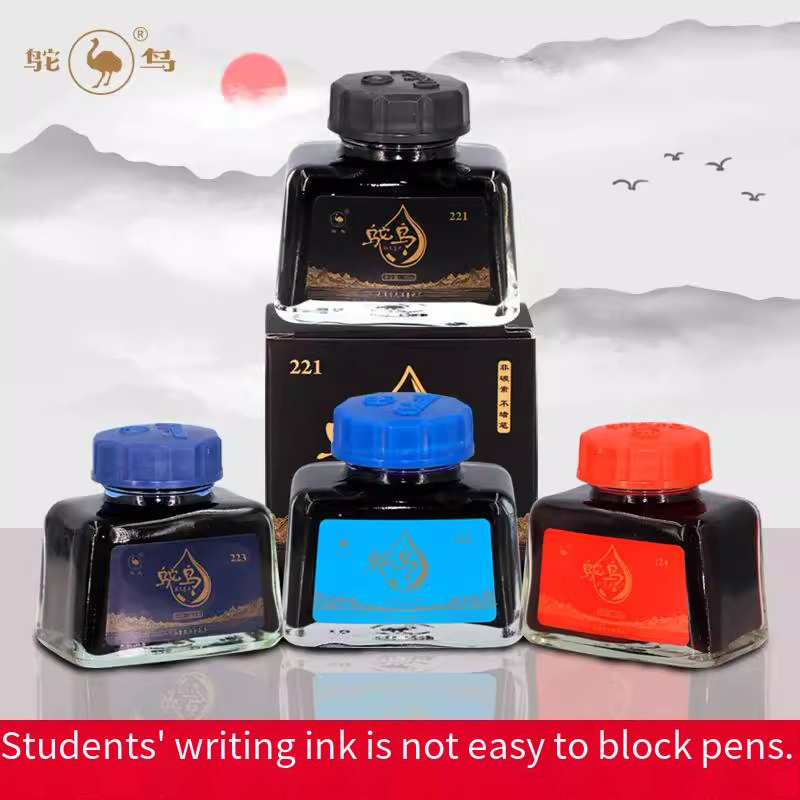 Ostrich 2-Series Fountain Pen  – Fountain Pen Bottled Ink recenzja i cena