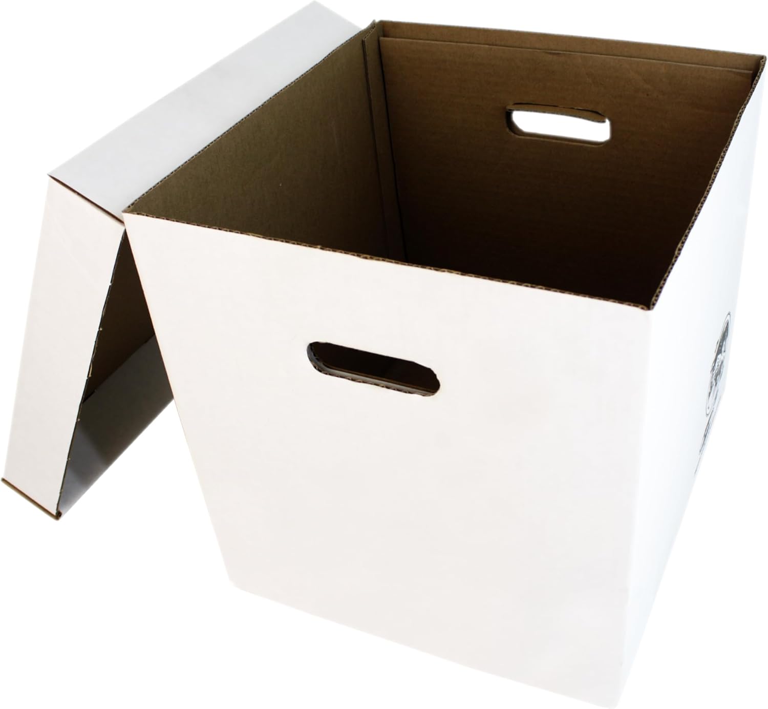 Set of 5 Heavy-Duty 12-Inch Vi – Archive Box Set recenzja i cena